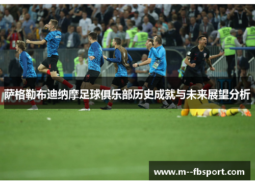 萨格勒布迪纳摩足球俱乐部历史成就与未来展望分析