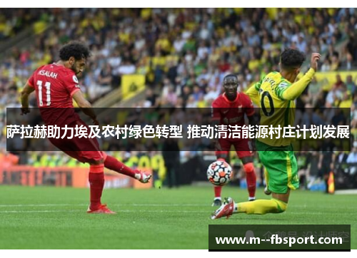 萨拉赫助力埃及农村绿色转型 推动清洁能源村庄计划发展 萨拉赫助力埃及农村绿色转型 推动清洁能源村庄计划发展