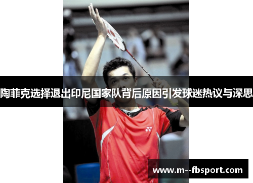 陶菲克选择退出印尼国家队背后原因引发球迷热议与深思