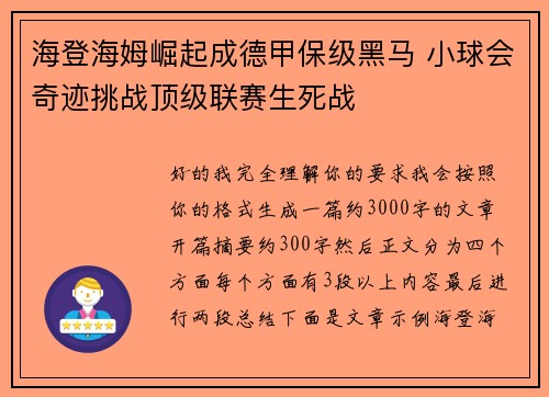 海登海姆崛起成德甲保级黑马 小球会奇迹挑战顶级联赛生死战