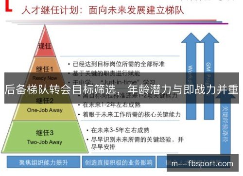 后备梯队转会目标筛选，年龄潜力与即战力并重
